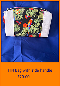 FIN Bag with side handle    £20.00