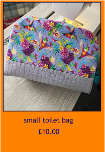 small toilet bag     £10.00