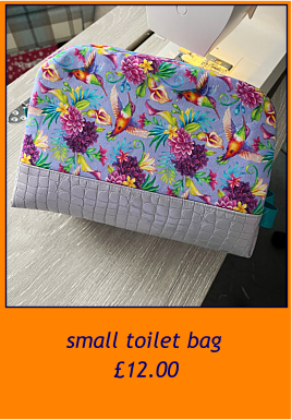 small toilet bag     £12.00