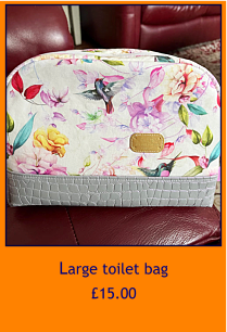 Large toilet bag  £15.00