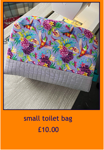 small toilet bag     £10.00