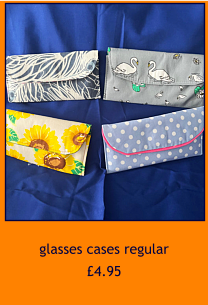 glasses cases regular £4.95